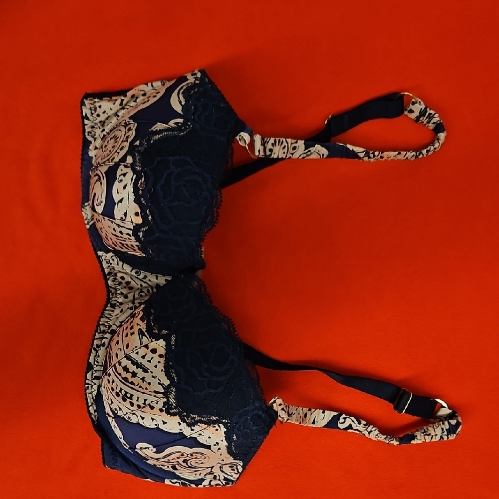 Stella McCartney Blue and Cream Lace Intimates Bra